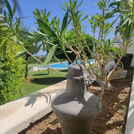 6 Guest Family & Golf * Marbella